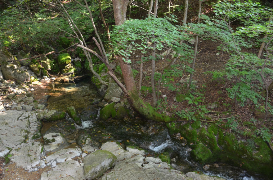 12. 태백산 금대봉에서 힘차게 용출하는 한강의 발원지 검룡소. DSC_1192.JPG