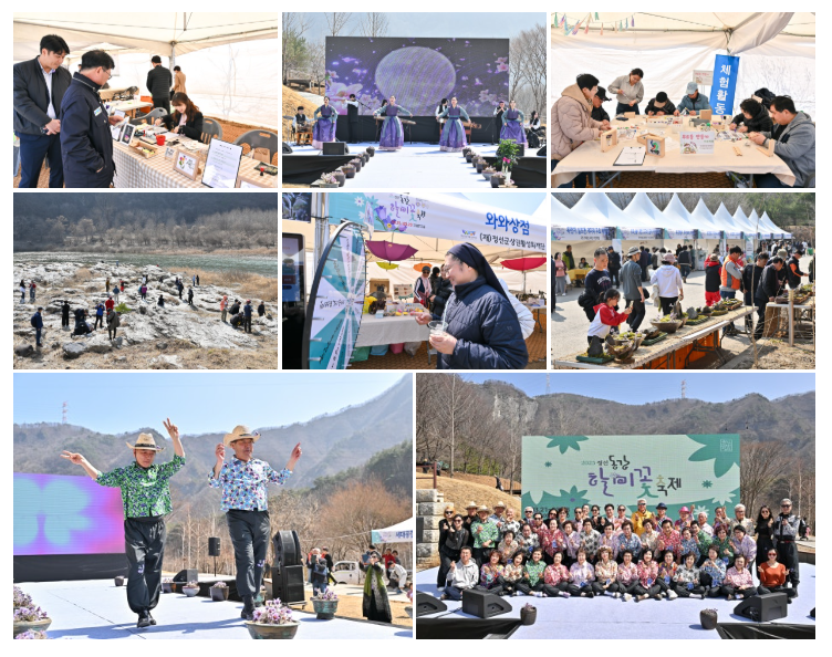 동강할미꽃 축제.png