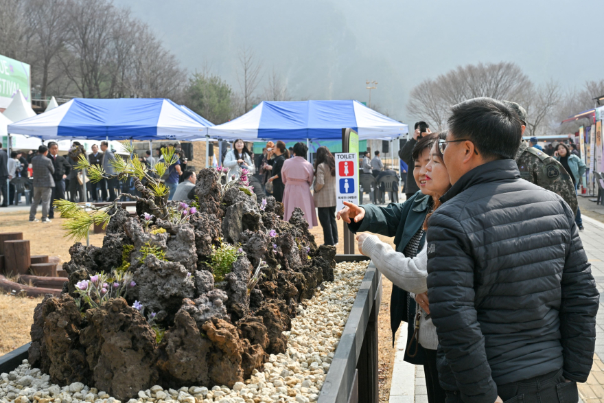 js20260327(제20회 정선동강할미꽃축제 개회식)-03(J91_3335).jpg