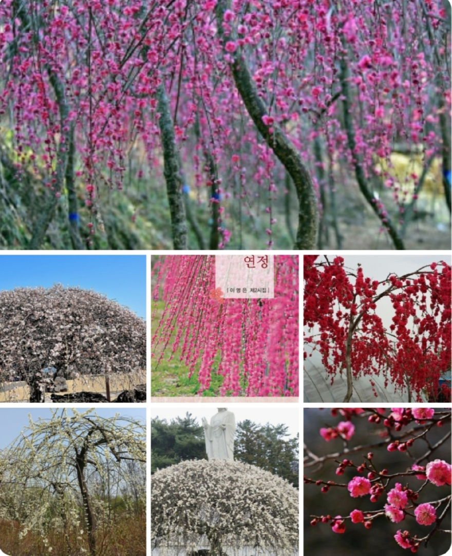 다운로드 (1).jpg