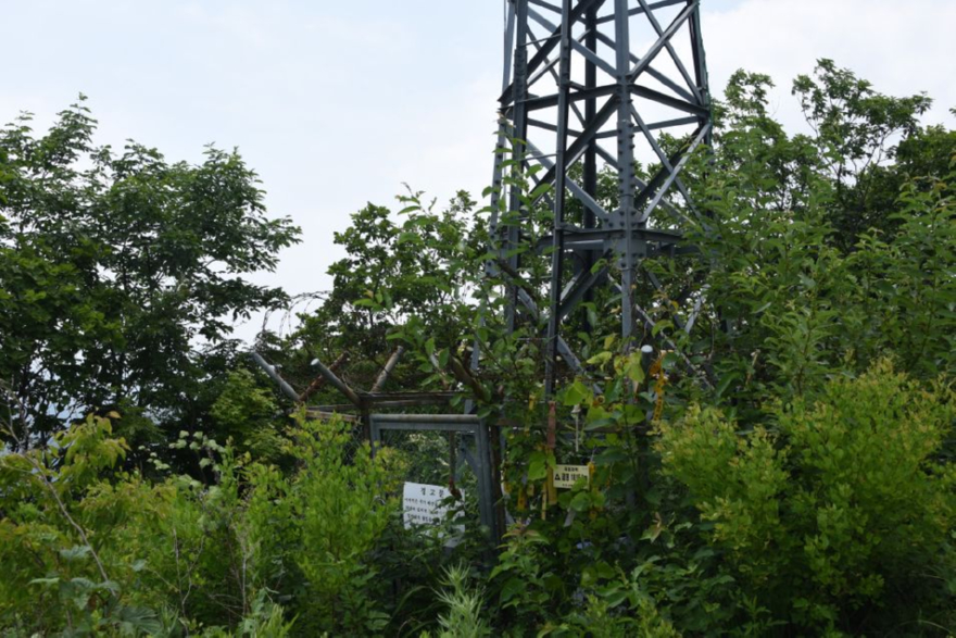 3. DSC_5384 1시 28분 20%.JPG