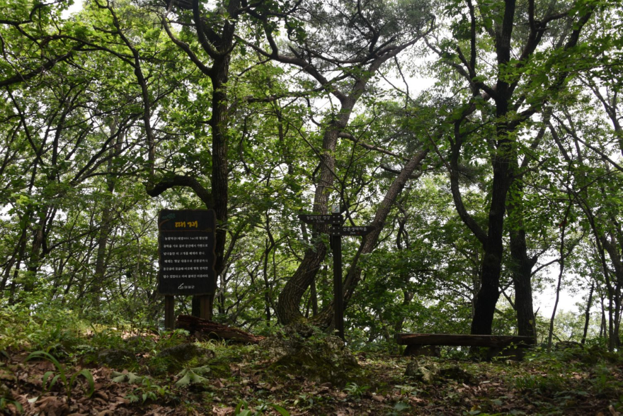 3. DSC_6580 1시 44분 떼재 30%.JPG