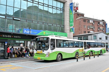 “정선군 와와버스 고유가 시대 빛난다”