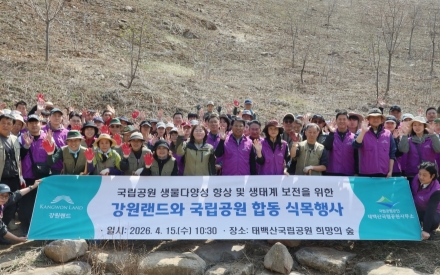 강원랜드 희망의 숲 조성 나무심기 행사
