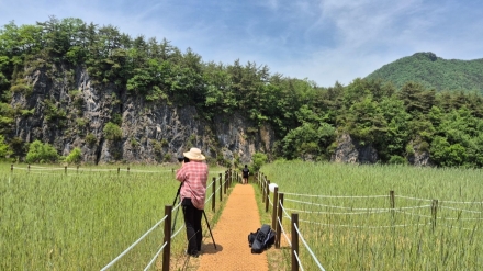 “초록빛 물결 따라 걷다”