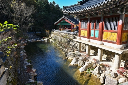 천년 산사에서 보물찾기… 정암사가 재미있어진다