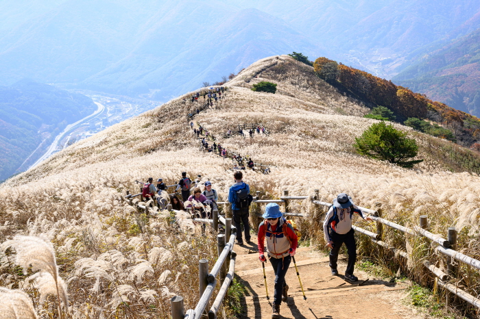 “흩날리는 진주빛 아슴한 춤이여”