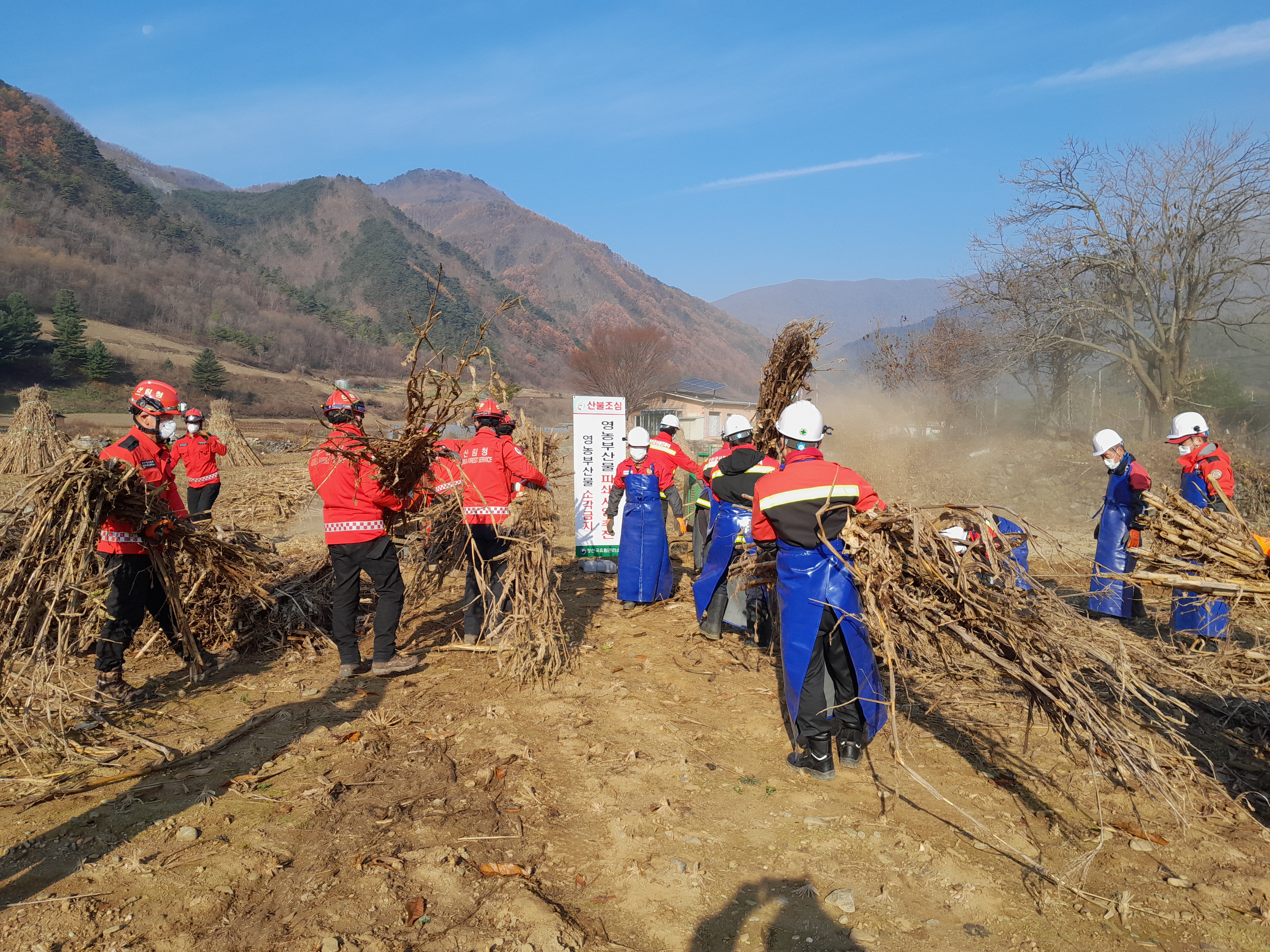 산림청 정선국유림관리소, 영농부산물 태우지 말고 파쇄하세요!