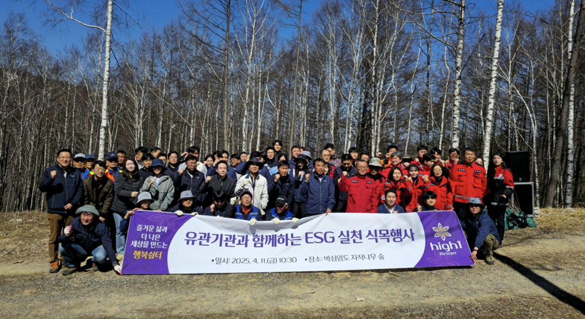 강원랜드, 폭설 피해 자작나무 숲, 산벚나무로 되살린다!