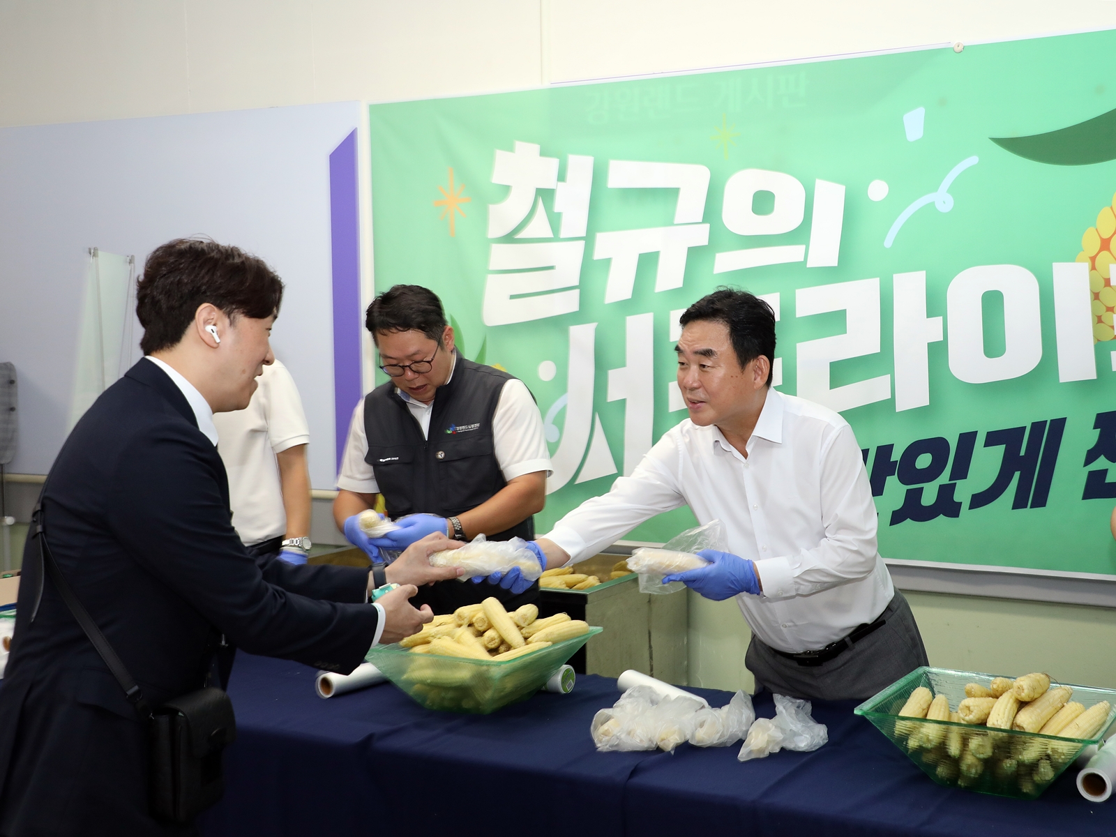 강원랜드, 지역 재배 옥수수 3만여 개 구매... “지역 상생 실천”