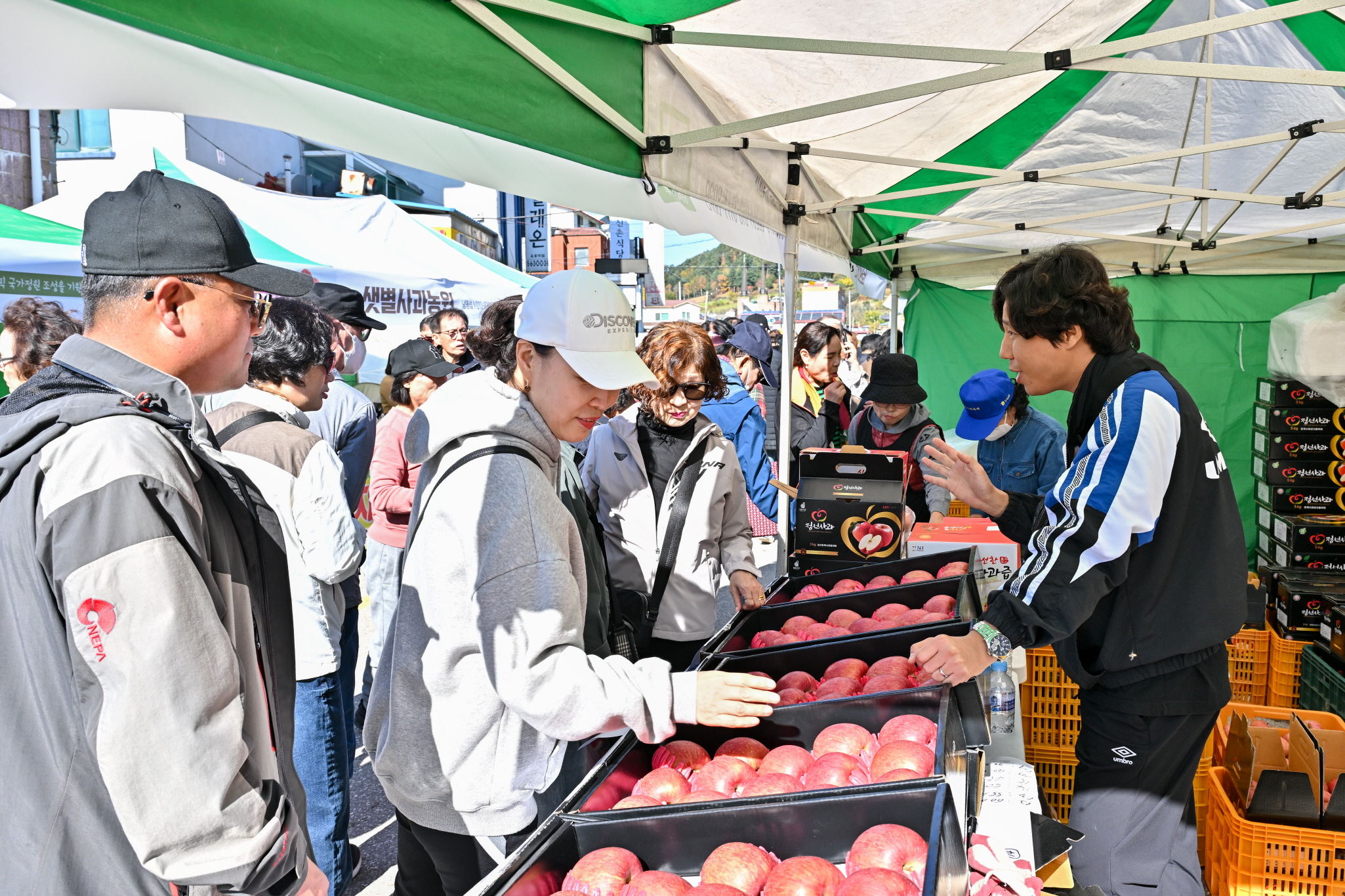 전국 최고의 명품 사과와 함께하는 2025년 정선사과축제’ 임계면서 개최
