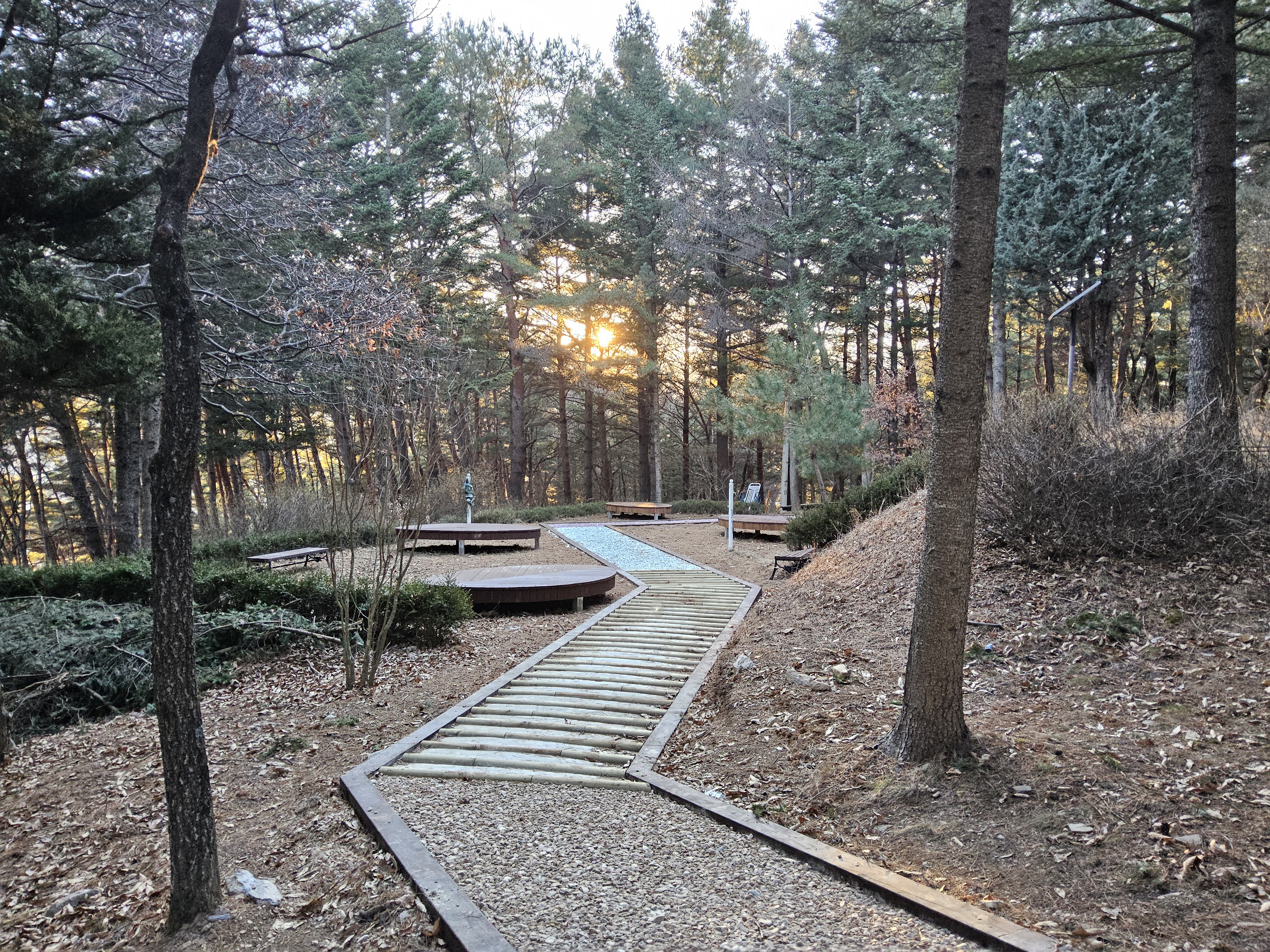 비봉산 산림공원 조성 완료 ‘쉼과 치유의 공간 제공’